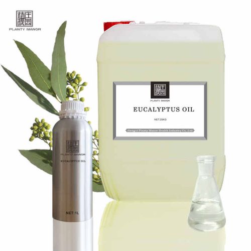 Sanjay Eucolyptus Oil 30 Ml