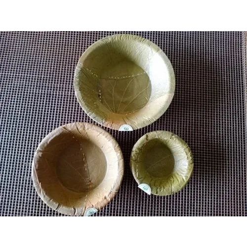 Prasadam Cups Big 50 No
