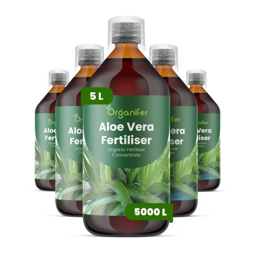 Gcc Aloeveera 5 Pack