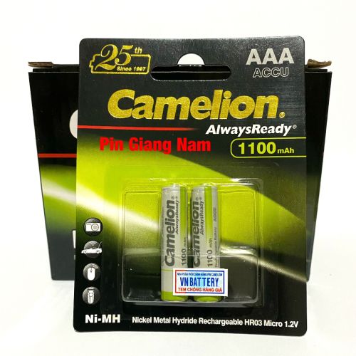 Camelion 1100 Ah
