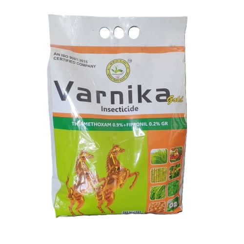 Varnika Ants Killer 100 G