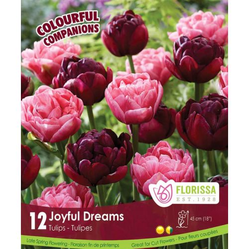 Joyfull Tulip 6 Pcset