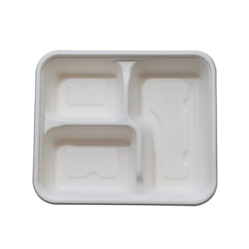 Canteen Plate 3