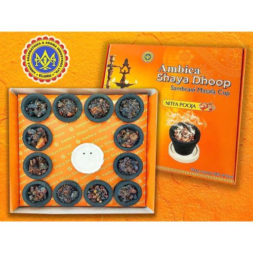 Ambica Shaya Dhoop 12 Pc