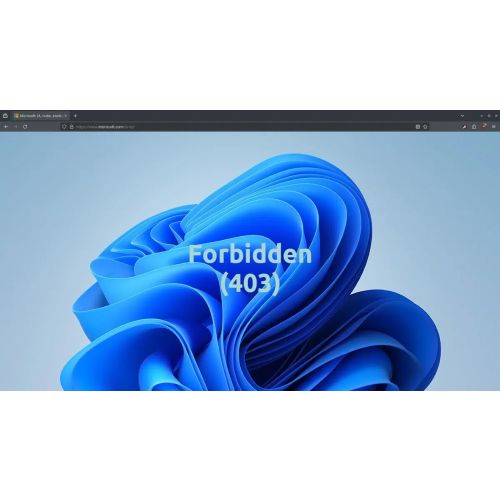 Window 403
