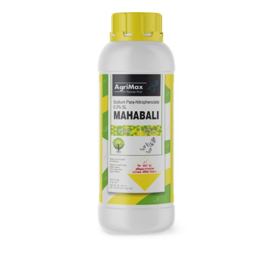 Mahabali Ball