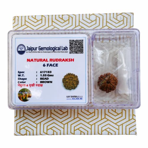 Rudraksh Celsto Sndl 135 G