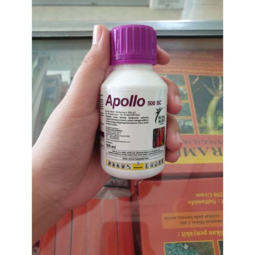 Apollo 500 PET Bottle Jar