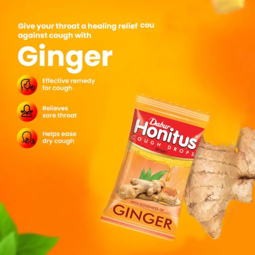 Dabur Ginger 30 G