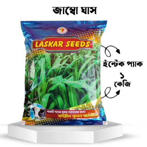 Kunkudlu Jambo 250 G