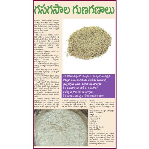 Mahila Gasagasalu 6 G
