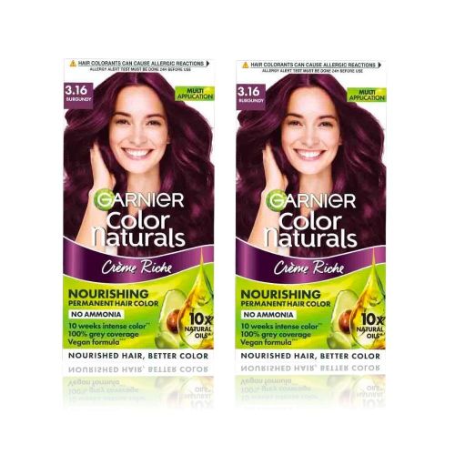 Garnier Burgandy 3.16