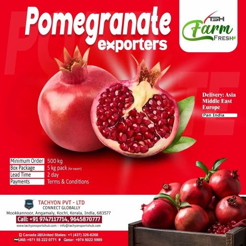 Pomgrante Kg